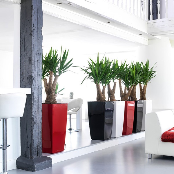 ����ȭ �ץ�󥿡� ������� �����ǥ˥󥰻��� ȭ ����塼���緿 ���塼�ӥ� 40 ���ʼ� �ⵡǽ �������� ���� ��ñ CUBICO LE-3022 �ۥ磻�� �֥�å� ����̵�� 