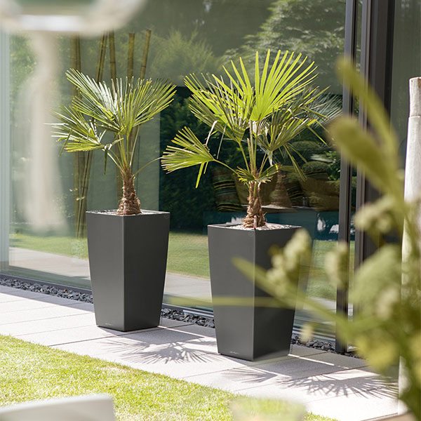 ����ȭ �ץ�󥿡� ������� �����ǥ˥󥰻��� ȭ ����塼���緿 ���塼�ӥ� 40 ���ʼ� �ⵡǽ �������� ���� ��ñ CUBICO LE-3022 �ۥ磻�� �֥�å� ����̵�� 