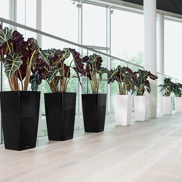 ����ȭ �ץ�󥿡� ������� �����ǥ˥󥰻��� ȭ ����塼���緿 ���塼�ӥ� 40 ���ʼ� �ⵡǽ �������� ���� ��ñ CUBICO LE-3022 �ۥ磻�� �֥�å� ����̵�� 