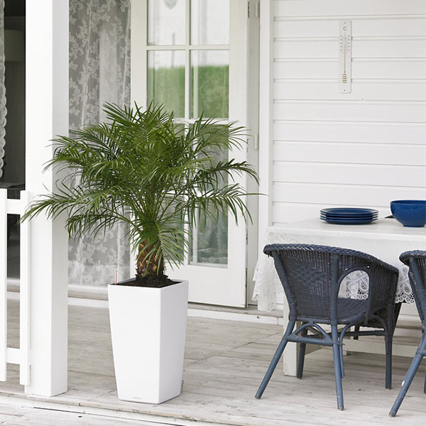 ����ȭ �ץ�󥿡� ������� �����ǥ˥󥰻��� ȭ ����塼���緿 ���塼�ӥ� 40 ���ʼ� �ⵡǽ �������� ���� ��ñ CUBICO LE-3022 �ۥ磻�� �֥�å� ����̵�� 