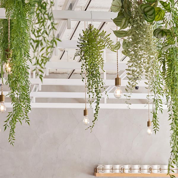 �ե��������꡼�� ���տ�ʪ �͹����տ�ʪ ¤�� �ɳݤ� �������󥿥� ���꡼��ͥå��쥹 �ϥ󥮥� �ץ��� mix ñ�� ŷ���в� ������� PRGR-1577 GREENPARK ����̵�� 