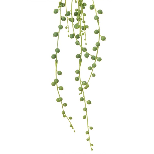 �ե��������꡼�� ���տ�ʪ �͹����տ�ʪ ¤�� �ɳݤ� �������󥿥� ���꡼��ͥå��쥹 �ϥ󥮥� �ץ��� mix ñ�� ŷ���в� ������� PRGR-1577 GREENPARK ����̵�� 