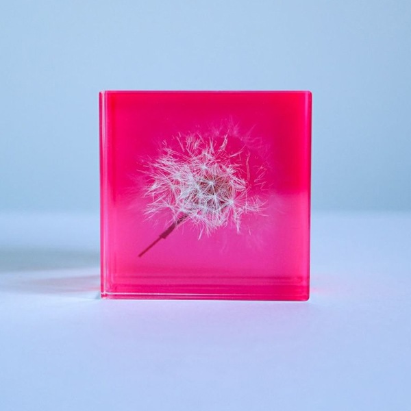 ����ݥ� 5cm ���饤�� Sola cube �� ���饭�塼�� �������Υͥɥ� Ω��ɸ�� Ʃ�� ��ʪ ������� ����ƥꥢ ��ʪ ���� �ָ� ���ꥢ �ץ쥼��� ���ե� Ȣ �� ��åԥ��б� 