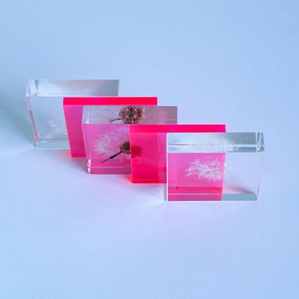 ����ݥ� 5cm ���饤�� Sola cube �� ���饭�塼�� �������Υͥɥ� Ω��ɸ�� Ʃ�� ��ʪ ������� ����ƥꥢ ��ʪ ���� �ָ� ���ꥢ �ץ쥼��� ���ե� Ȣ �� ��åԥ��б� 