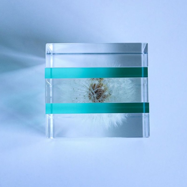 ����ݥ� 5cm ���饤�� Sola cube �� ���饭�塼�� �������Υͥɥ� Ω��ɸ�� Ʃ�� ��ʪ ������� ����ƥꥢ ��ʪ ���� �ָ� ���ꥢ �ץ쥼��� ���ե� Ȣ �� ��åԥ��б� 