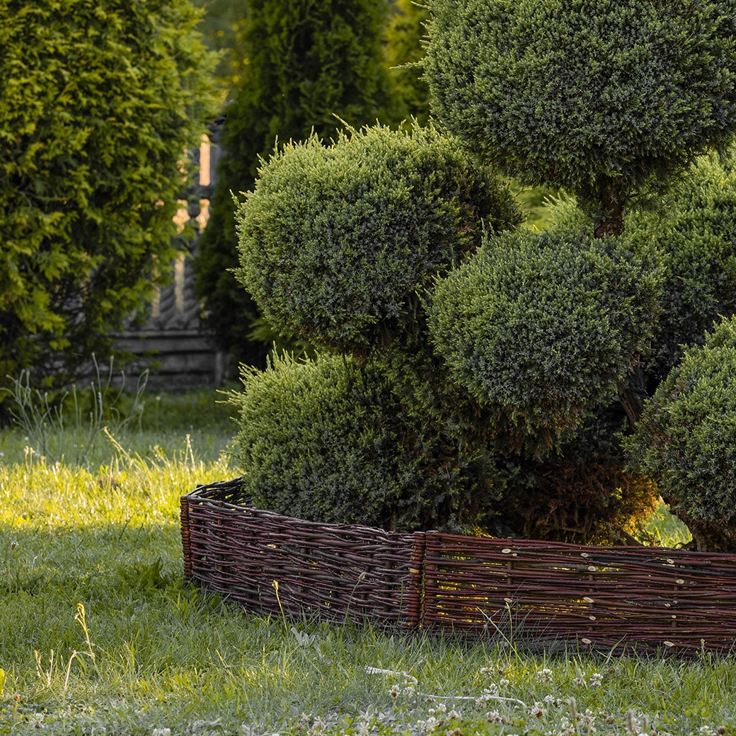 �ե��� DIY ���� ���� H20cm 120cm 2�� ���å� ���������� ��� �� ���󥰥�å��� �����ǥ� �ʥ����� ����ץ� ���� �� ŷ���Ǻ� ��� �� �����ǥ˥� 