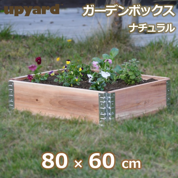 쥤ɥ٥å ǥ ܥå 800 ʥ  ڱ    Ȫ Ϥ ե졼  ܹ ں ⤵20cm DIY  ץ饹ǥ ̵ 