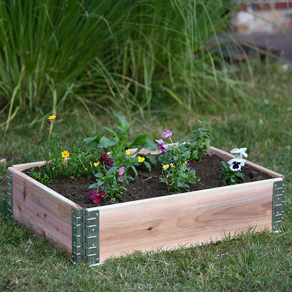 쥤ɥ٥å ǥ ܥå 800 ʥ  ڱ    Ȫ Ϥ ե졼  ܹ ں ⤵20cm DIY  ץ饹ǥ ̵ 