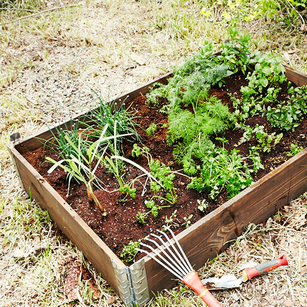 쥤ɥ٥å ǥ ܥå 800 ʥ  ڱ    Ȫ Ϥ ե졼  ܹ ں ⤵20cm DIY  ץ饹ǥ ̵ 