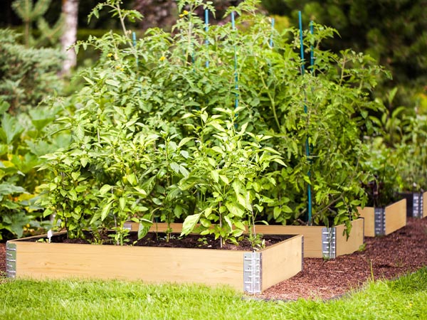 쥤ɥ٥å ǥ ܥå 800 ʥ  ڱ    Ȫ Ϥ ե졼  ܹ ں ⤵20cm DIY  ץ饹ǥ ̵ 