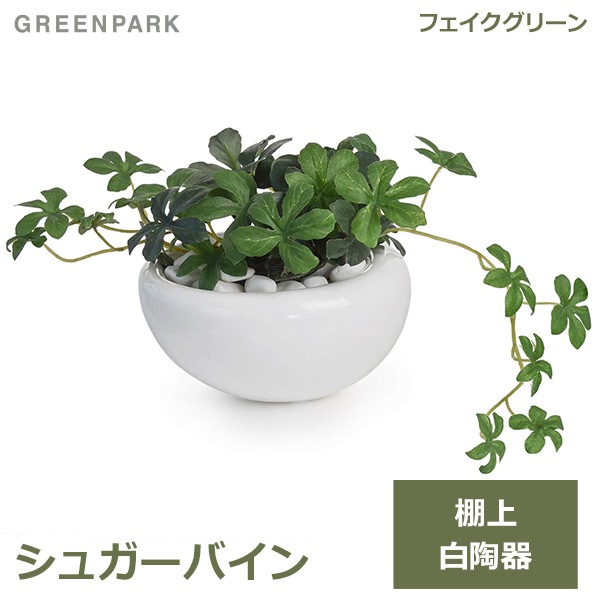 フェイクグリーン ミニ 観葉植物 造花 シュガーバイン 白 陶器 ｓサイズ 白玉石 エコストーン おしゃれ かわいい 可愛い 卓上 リビング Greenpark Prgr 0093 Se Viewgarden