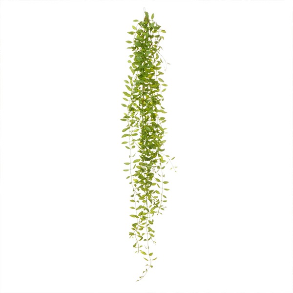 ե꡼ տʪ ͸տʪ ¤ ɳݤ ǥǥ ϥ󥮥 ץ Ĥ ʪ ץ ñ ŷв  PRGR-1578 GREENPARK ̵ 