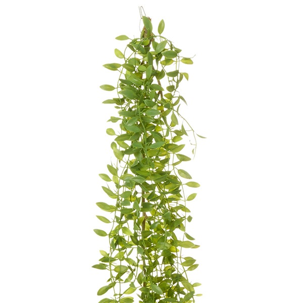 ե꡼ տʪ ͸տʪ ¤ ɳݤ ǥǥ ϥ󥮥 ץ Ĥ ʪ ץ ñ ŷв  PRGR-1578 GREENPARK ̵ 