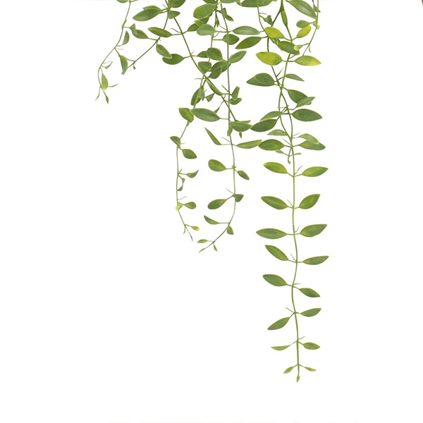 ե꡼ տʪ ͸տʪ ¤ ɳݤ ǥǥ ϥ󥮥 ץ Ĥ ʪ ץ ñ ŷв  PRGR-1578 GREENPARK ̵ 