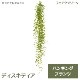 ե꡼ տʪ ͸տʪ ¤ ɳݤ ǥǥ ϥ󥮥 ץ Ĥ ʪ ץ ñ ŷв  PRGR-1578 GREENPARK ̵ 