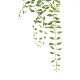 ե꡼ տʪ ͸տʪ ¤ ɳݤ ǥǥ ϥ󥮥 ץ Ĥ ʪ ץ ñ ŷв  PRGR-1578 GREENPARK ̵ 