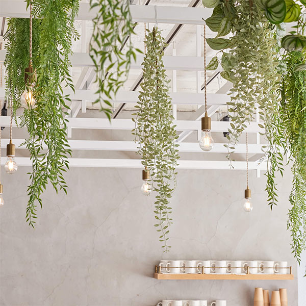 �ե��������꡼�� ���տ�ʪ �͹����տ�ʪ ¤�� �ɳݤ� �ǥ������ǥ��� �ϥ󥮥� �ץ��� ����С����꡼�� ñ�� ŷ���в� ������� ���� PRGR-1579 GREENPARK ����̵�� 