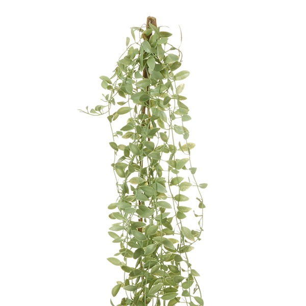 �ե��������꡼�� ���տ�ʪ �͹����տ�ʪ ¤�� �ɳݤ� �ǥ������ǥ��� �ϥ󥮥� �ץ��� ����С����꡼�� ñ�� ŷ���в� ������� ���� PRGR-1579 GREENPARK ����̵�� 