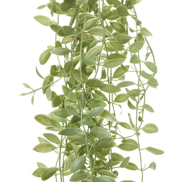 �ե��������꡼�� ���տ�ʪ �͹����տ�ʪ ¤�� �ɳݤ� �ǥ������ǥ��� �ϥ󥮥� �ץ��� ����С����꡼�� ñ�� ŷ���в� ������� ���� PRGR-1579 GREENPARK ����̵�� 