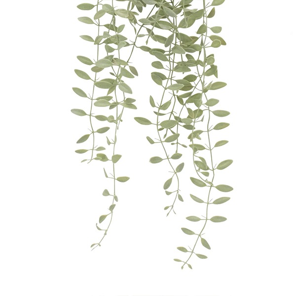 �ե��������꡼�� ���տ�ʪ �͹����տ�ʪ ¤�� �ɳݤ� �ǥ������ǥ��� �ϥ󥮥� �ץ��� ����С����꡼�� ñ�� ŷ���в� ������� ���� PRGR-1579 GREENPARK ����̵�� 