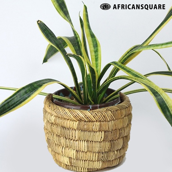 ���� �Х����å� ����å� �ܥ��� S ̵�� ���� ��Ǽ ����ƥꥢ ��ʪ �������� �� ���� ȭ ���С� ������� ��ʪ���� ��ӥ� ���å��� ���եꥫ�󥹥������� ����̵�� ��åԥ��б� 