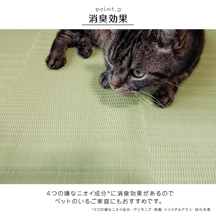 �饰 ������ �����ڥå� ������ �� ���� �ɽ� �ý� �����ȥɥ� �쥸�㡼 ��ʪ �¼� ����ץ� �����ܥ꡼ ���ʹ�1�� ��87��174cm �����ڥå� �����ҥ� 1090610140802 ����̵�� 