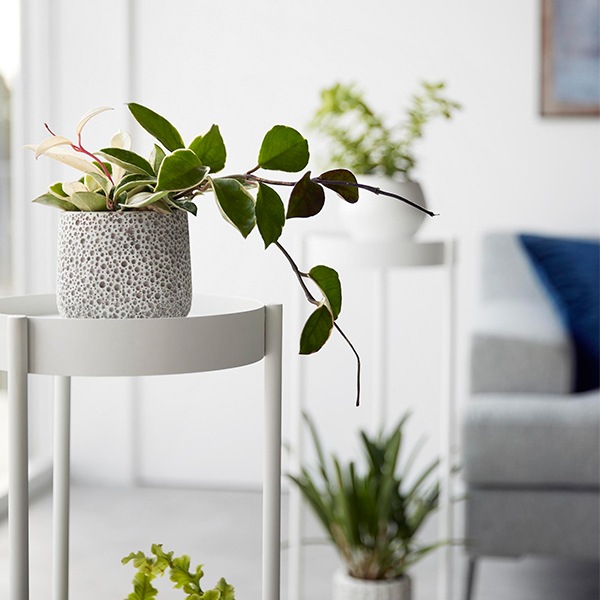 �ץ�󥿡� ������� ���㥹������ 2�� tower ��� �ۥ磻�� �֥�å� ��ʪ �����ǥ� ��å� �ݷ� ������� ���� ȭ ����ץ� �ʥ����� �������� 4366 4367 