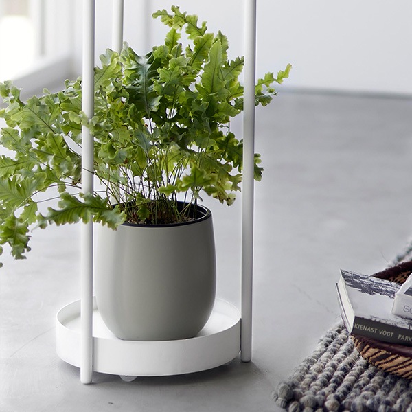 �ץ�󥿡� ������� ���㥹������ 2�� tower ��� �ۥ磻�� �֥�å� ��ʪ �����ǥ� ��å� �ݷ� ������� ���� ȭ ����ץ� �ʥ����� �������� 4366 4367 