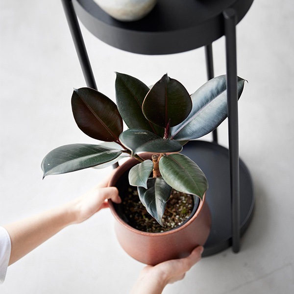 �ץ�󥿡� ������� ���㥹������ 2�� tower ��� �ۥ磻�� �֥�å� ��ʪ �����ǥ� ��å� �ݷ� ������� ���� ȭ ����ץ� �ʥ����� �������� 4366 4367 