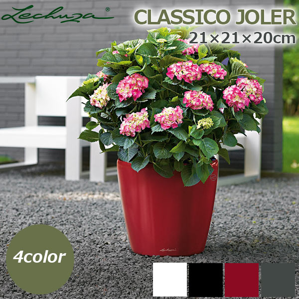 ����ȭ �ץ�󥿡� ������� �����ǥ˥󥰻��� ȭ CLASSICO JOLER ���饷�������硼���� 21 ���ʼ� �ⵡǽ ����塼�� �������� ���� ��ñ ����ץ� LE-1021AJ ����̵�� 