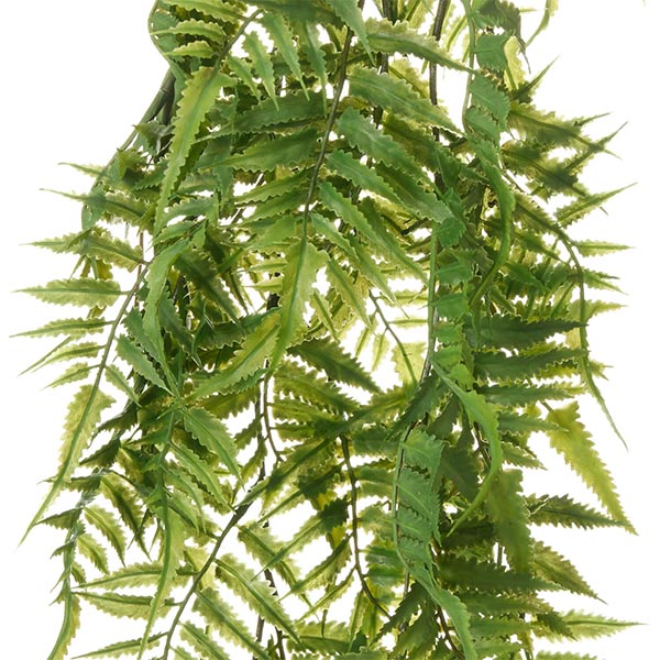 �ե��������꡼�� ���տ�ʪ �͹����տ�ʪ ¤�� �ɳݤ� ���� ���꡼�� �ϥ󥮥� �ץ��� ���󥰥� ñ�� ŷ���в� ������� �����Ǻ� PRGR-1583 GREENPARK ����̵�� 