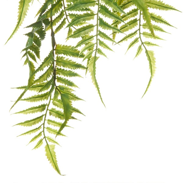 �ե��������꡼�� ���տ�ʪ �͹����տ�ʪ ¤�� �ɳݤ� ���� ���꡼�� �ϥ󥮥� �ץ��� ���󥰥� ñ�� ŷ���в� ������� �����Ǻ� PRGR-1583 GREENPARK ����̵�� 