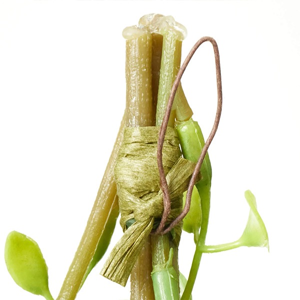 �ե��������꡼�� ���տ�ʪ �͹����տ�ʪ ¤�� �ɳݤ� ���� ���꡼�� �ϥ󥮥� �ץ��� ���󥰥� ñ�� ŷ���в� ������� �����Ǻ� PRGR-1583 GREENPARK ����̵�� 