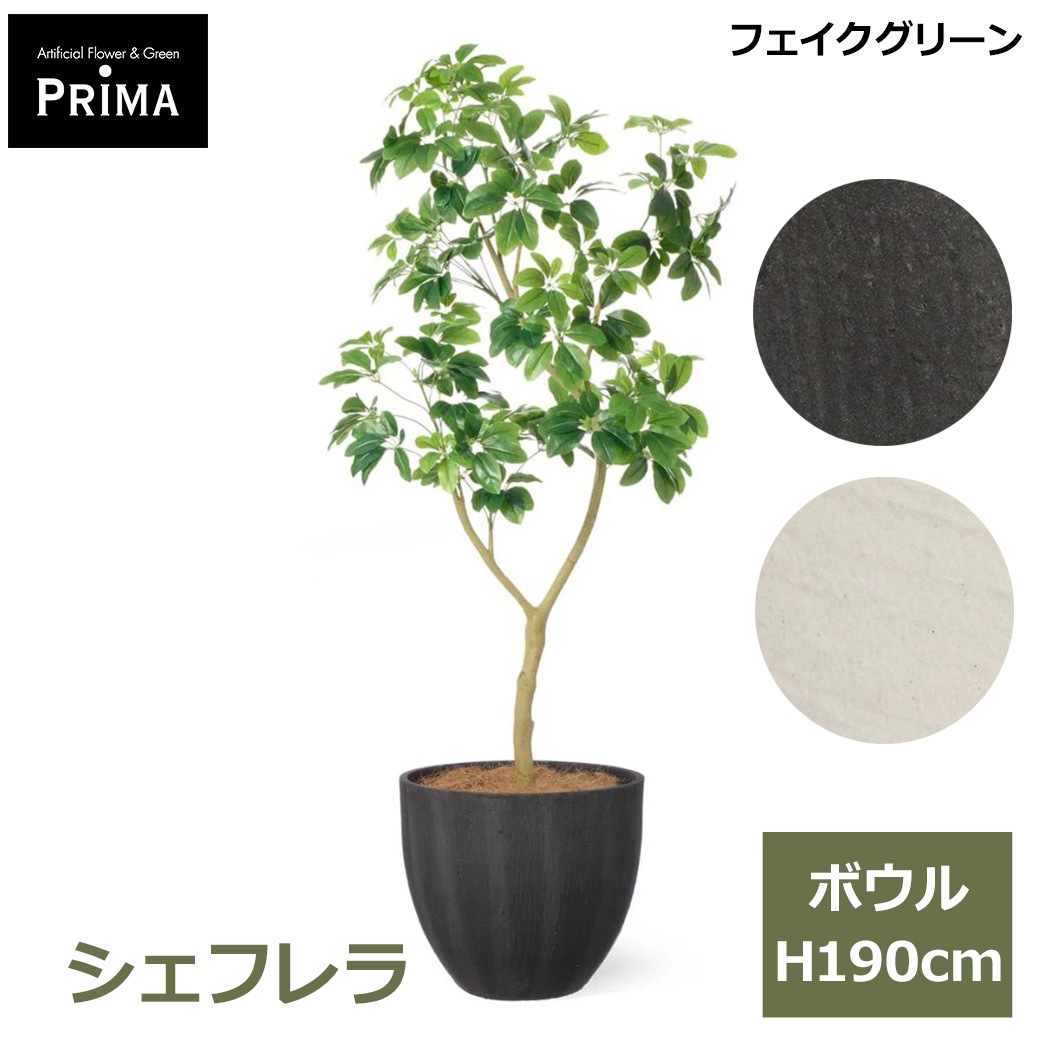 �ե��������꡼�� �͹����տ�ʪ �緿 ���å� �����ե�� �ܥ��� ¤�� H190cm ����ƥꥢ���꡼�� ȭ�դ� ȭ���å� ���տ�ʪ �͵� ������� PRGR-1814 GREENPARK ����̵�� 