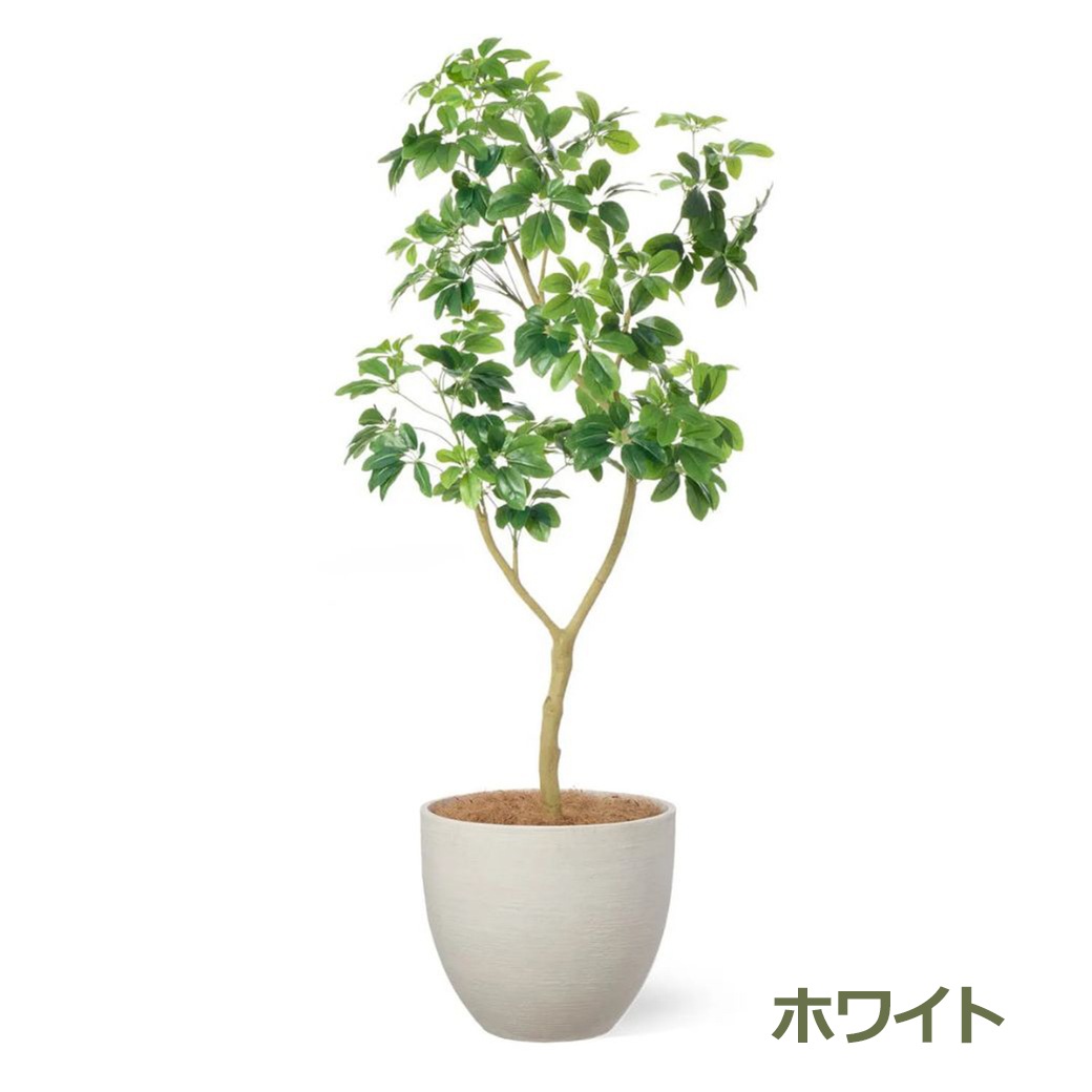 �ե��������꡼�� �͹����տ�ʪ �緿 ���å� �����ե�� �ܥ��� ¤�� H190cm ����ƥꥢ���꡼�� ȭ�դ� ȭ���å� ���տ�ʪ �͵� ������� PRGR-1814 GREENPARK ����̵�� 