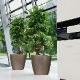 ����ȭ �ץ�󥿡� ������� �����ǥ˥󥰻��� ȭ ����塼�� �緿 ���饷�������硼���� 50 ���ʼ� �ⵡǽ �������� ���� ��ñ CLASSICO JOLER LE-1050AJ ����̵�� 