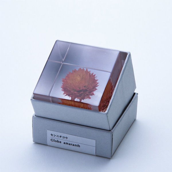 ɸ Ω   ޴ ɥ饤ե ƥꥢ sora cube  塼 ˥  ե ץ쥼 ꥹޥ     ̵ åԥб 
