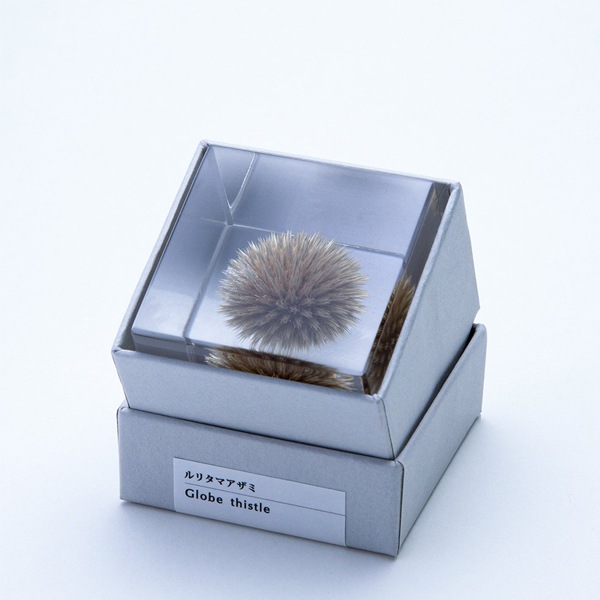 ɸ Ω   ޴ ɥ饤ե ƥꥢ sora cube  塼 ꥿ޥ ե ץ쥼 ꥹޥ     ̵ åԥб 