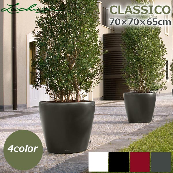 ����ȭ �ץ�󥿡� ������� �����ǥ˥󥰻��� ȭ ����塼�� �緿 ���饷�� 70 ���ʼ� �ⵡǽ �������奷���ƥ� ���� ��ñ ����ץ� ��ư CLASSICO LE-1070AJ 