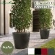 ����ȭ �ץ�󥿡� ������� �����ǥ˥󥰻��� ȭ ����塼�� �緿 ���饷�� 70 ���ʼ� �ⵡǽ �������奷���ƥ� ���� ��ñ ����ץ� ��ư CLASSICO LE-1070AJ 