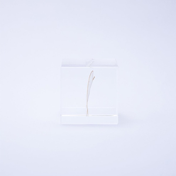 ɸ�� Ω�� ������� �� �޴� �ɥ饤�ե� ����ƥꥢ sora cube �� ���塼�� ��ʥꥢ ���ե� �ץ쥼��������� ���ꥹ�ޥ� ���� ���� ���� ���� ����̵�� ��åԥ��б� 