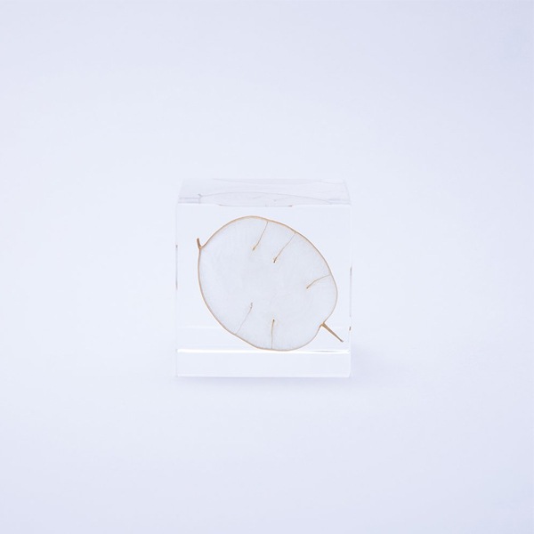 ɸ�� Ω�� ������� �� �޴� �ɥ饤�ե� ����ƥꥢ sora cube �� ���塼�� ��ʥꥢ ���ե� �ץ쥼��������� ���ꥹ�ޥ� ���� ���� ���� ���� ����̵�� ��åԥ��б� 