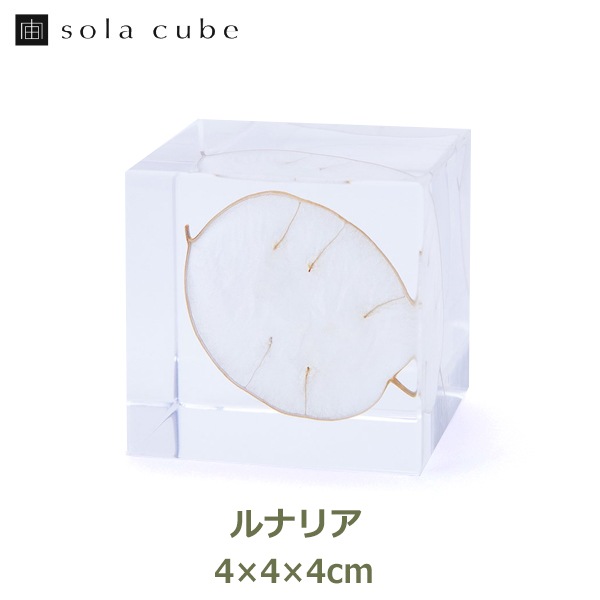 ɸ�� Ω�� ������� �� �޴� �ɥ饤�ե� ����ƥꥢ sora cube �� ���塼�� ��ʥꥢ ���ե� �ץ쥼��������� ���ꥹ�ޥ� ���� ���� ���� ���� ����̵�� ��åԥ��б� 