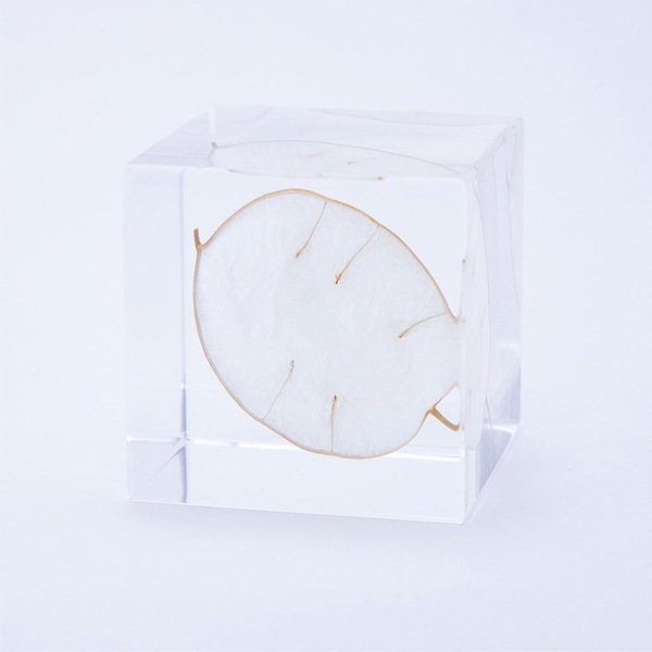 ɸ�� Ω�� ������� �� �޴� �ɥ饤�ե� ����ƥꥢ sora cube �� ���塼�� ��ʥꥢ ���ե� �ץ쥼��������� ���ꥹ�ޥ� ���� ���� ���� ���� ����̵�� ��åԥ��б� 