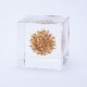 ɸ Ω   ޴ ɥ饤ե ƥꥢ sora cube  塼 󥿥쥢 ե ץ쥼 ꥹޥ     ̵ åԥб 
