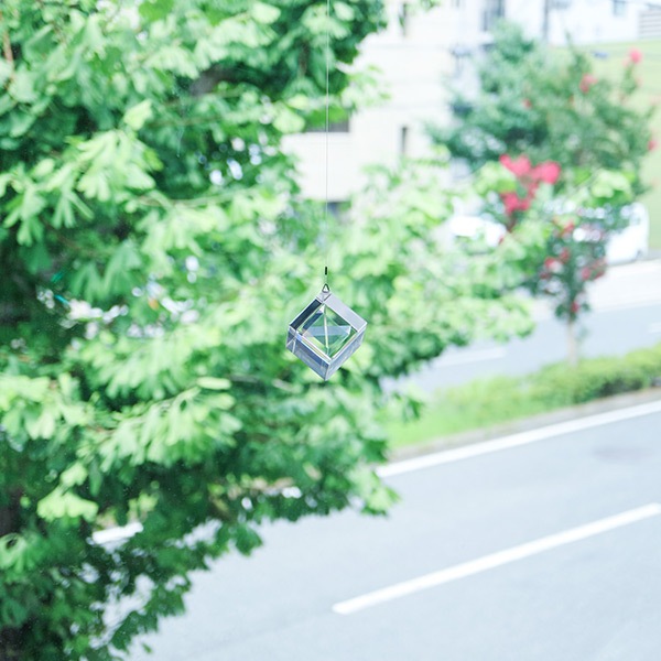 ��ӡ��� ������� ������� ���饹 �ץꥺ�� �������Υͥɥ� ���ꥢ ȿ�� Ʃ�� ����ƥꥢ ��ʪ ���� ����ץ� �ͳ� ���󥭥�å��㡼 ���ե� �ץ쥼��� ����̵�� ��åԥ��б� 