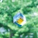 ��ӡ��� ������� ������� ���饹 �ץꥺ�� �������Υͥɥ� ���ꥢ ȿ�� Ʃ�� ����ƥꥢ ��ʪ ���� ����ץ� �ͳ� ���󥭥�å��㡼 ���ե� �ץ쥼��� ����̵�� ��åԥ��б� 