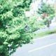 ��ӡ��� ������� ������� ���饹 �ץꥺ�� �������Υͥɥ� ���ꥢ ȿ�� Ʃ�� ����ƥꥢ ��ʪ ���� ����ץ� �ͳ� ���󥭥�å��㡼 ���ե� �ץ쥼��� ����̵�� ��åԥ��б� 