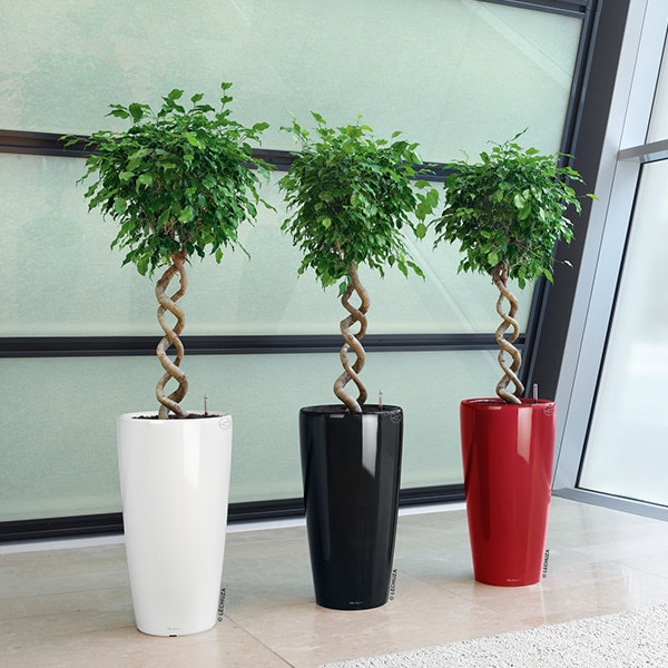 ����ȭ �ץ�󥿡� ������� �����ǥ˥󥰻��� ȭ ����塼�� �緿 ����� 40 ���ʼ� �ⵡǽ �������奷���ƥ� ���� ��ñ ȭ���� ��ư �ۥ磻�� RONDO LE-3140 ����̵�� 