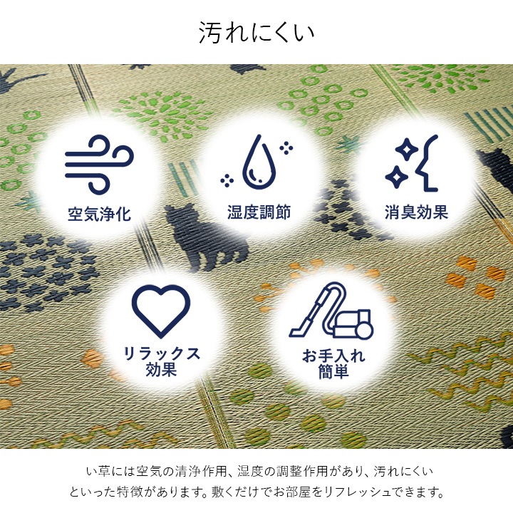 ����饰 ǭ�� ���� ǭ ����ƥꥢ ���� ���� �ä��� ������� �������� ����Ĵ�� �ý����� ���������ñ �ʥ����� ��180��240cm �����ڥå� �����ҥ� 1060920184104 ����̵�� 